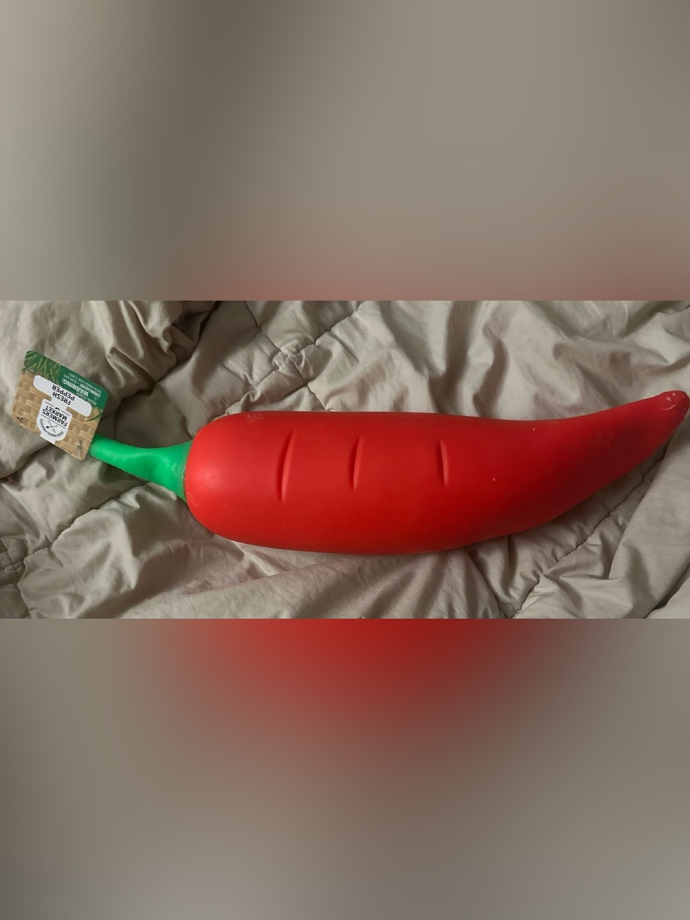 Red pepper jumbo squishy